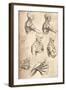 Anatomical Drawing, C1472-C1519 (1883)-Leonardo da Vinci-Framed Giclee Print