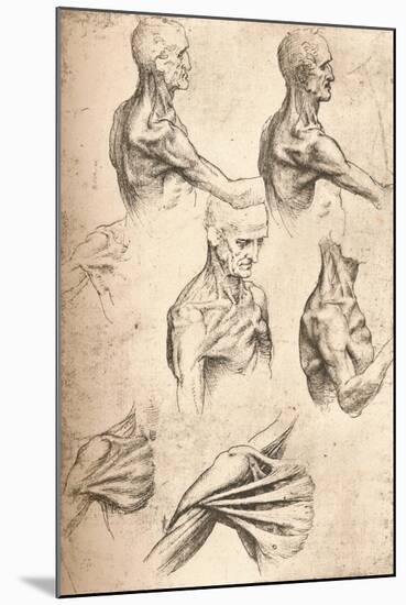 Anatomical Drawing, C1472-C1519 (1883)-Leonardo da Vinci-Mounted Giclee Print
