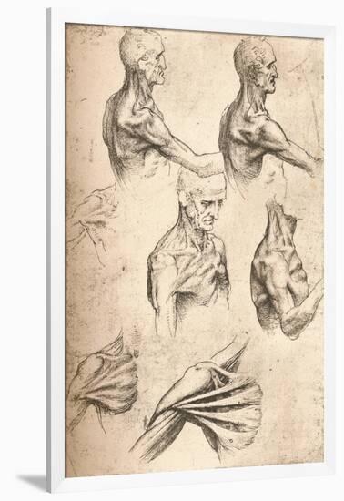 Anatomical Drawing, C1472-C1519 (1883)-Leonardo da Vinci-Framed Giclee Print