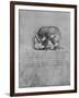 'Anatomical Drawing of a Skull to the Left', c1480 (1945)-Leonardo Da Vinci-Framed Giclee Print