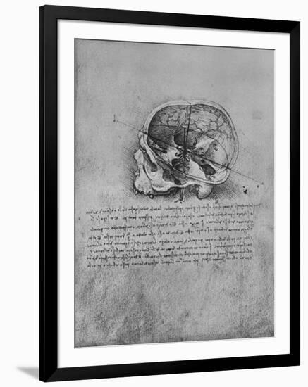 'Anatomical Drawing of a Skull to the Left', c1480 (1945)-Leonardo Da Vinci-Framed Giclee Print