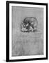 'Anatomical Drawing of a Skull to the Left', c1480 (1945)-Leonardo Da Vinci-Framed Giclee Print