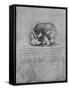 'Anatomical Drawing of a Skull to the Left', c1480 (1945)-Leonardo Da Vinci-Framed Stretched Canvas