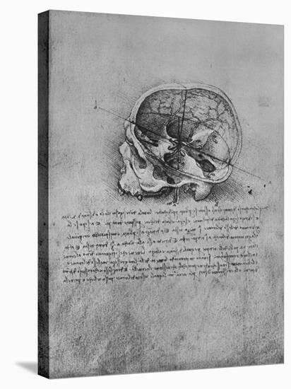 'Anatomical Drawing of a Skull to the Left', c1480 (1945)-Leonardo Da Vinci-Stretched Canvas