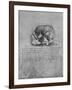 'Anatomical Drawing of a Skull to the Left', c1480 (1945)-Leonardo Da Vinci-Framed Giclee Print