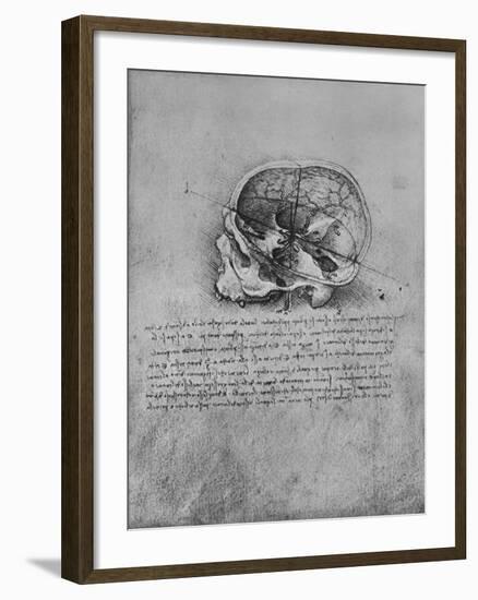 'Anatomical Drawing of a Skull to the Left', c1480 (1945)-Leonardo Da Vinci-Framed Giclee Print