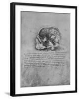 'Anatomical Drawing of a Skull to the Left', c1480 (1945)-Leonardo Da Vinci-Framed Giclee Print