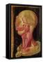 Anatomical Drawing of the Human Head-Hieronymus Fabricius ab Aquapendente-Framed Stretched Canvas