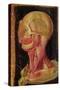 Anatomical Drawing of the Human Head-Hieronymus Fabricius ab Aquapendente-Stretched Canvas