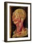 Anatomical Drawing of the Human Head-Hieronymus Fabricius ab Aquapendente-Framed Giclee Print