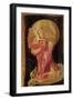 Anatomical Drawing of the Human Head-Hieronymus Fabricius ab Aquapendente-Framed Giclee Print