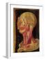 Anatomical Drawing of the Human Head-Hieronymus Fabricius ab Aquapendente-Framed Giclee Print