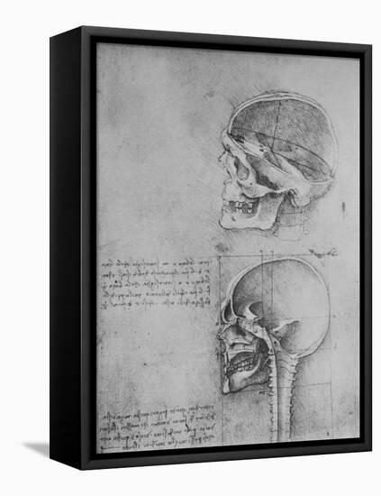 'Anatomical Drawings of Two Skulls in Profile to the Left', c1480 (1945)-Leonardo Da Vinci-Framed Stretched Canvas