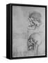 'Anatomical Drawings of Two Skulls in Profile to the Left', c1480 (1945)-Leonardo Da Vinci-Framed Stretched Canvas