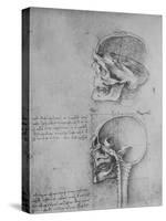 'Anatomical Drawings of Two Skulls in Profile to the Left', c1480 (1945)-Leonardo Da Vinci-Stretched Canvas