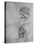 'Anatomical Drawings of Two Skulls in Profile to the Left', c1480 (1945)-Leonardo Da Vinci-Stretched Canvas