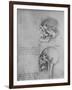 'Anatomical Drawings of Two Skulls in Profile to the Left', c1480 (1945)-Leonardo Da Vinci-Framed Giclee Print