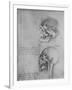 'Anatomical Drawings of Two Skulls in Profile to the Left', c1480 (1945)-Leonardo Da Vinci-Framed Giclee Print