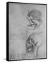 'Anatomical Drawings of Two Skulls in Profile to the Left', c1480 (1945)-Leonardo Da Vinci-Framed Stretched Canvas