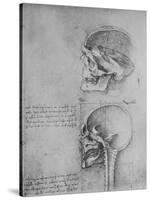 'Anatomical Drawings of Two Skulls in Profile to the Left', c1480 (1945)-Leonardo Da Vinci-Stretched Canvas