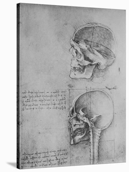 'Anatomical Drawings of Two Skulls in Profile to the Left', c1480 (1945)-Leonardo Da Vinci-Stretched Canvas