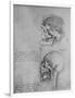 'Anatomical Drawings of Two Skulls in Profile to the Left', c1480 (1945)-Leonardo Da Vinci-Framed Giclee Print