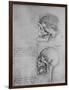 'Anatomical Drawings of Two Skulls in Profile to the Left', c1480 (1945)-Leonardo Da Vinci-Framed Giclee Print