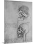 'Anatomical Drawings of Two Skulls in Profile to the Left', c1480 (1945)-Leonardo Da Vinci-Mounted Giclee Print