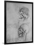 'Anatomical Drawings of Two Skulls in Profile to the Left', c1480 (1945)-Leonardo Da Vinci-Framed Giclee Print