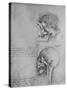 'Anatomical Drawings of Two Skulls in Profile to the Left', c1480 (1945)-Leonardo Da Vinci-Stretched Canvas