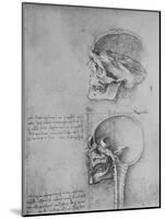 'Anatomical Drawings of Two Skulls in Profile to the Left', c1480 (1945)-Leonardo Da Vinci-Mounted Giclee Print