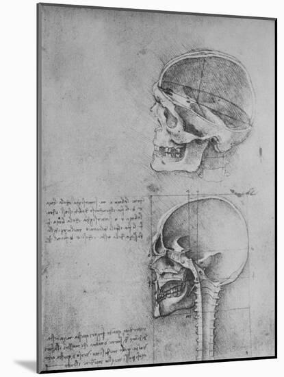 'Anatomical Drawings of Two Skulls in Profile to the Left', c1480 (1945)-Leonardo Da Vinci-Mounted Giclee Print