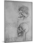 'Anatomical Drawings of Two Skulls in Profile to the Left', c1480 (1945)-Leonardo Da Vinci-Mounted Giclee Print