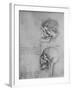 'Anatomical Drawings of Two Skulls in Profile to the Left', c1480 (1945)-Leonardo Da Vinci-Framed Giclee Print