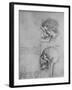 'Anatomical Drawings of Two Skulls in Profile to the Left', c1480 (1945)-Leonardo Da Vinci-Framed Giclee Print