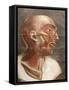 Anatomical Head, from 'Myologie Complete En Couleur Et Grandeur Naturelle', 1746-Jacques-Fabien Gautier d'Agoty-Framed Stretched Canvas