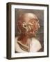 Anatomical Head, from 'Myologie Complete En Couleur Et Grandeur Naturelle', 1746-Jacques-Fabien Gautier d'Agoty-Framed Giclee Print