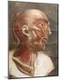 Anatomical Head, from 'Myologie Complete En Couleur Et Grandeur Naturelle', 1746-Jacques-Fabien Gautier d'Agoty-Mounted Giclee Print