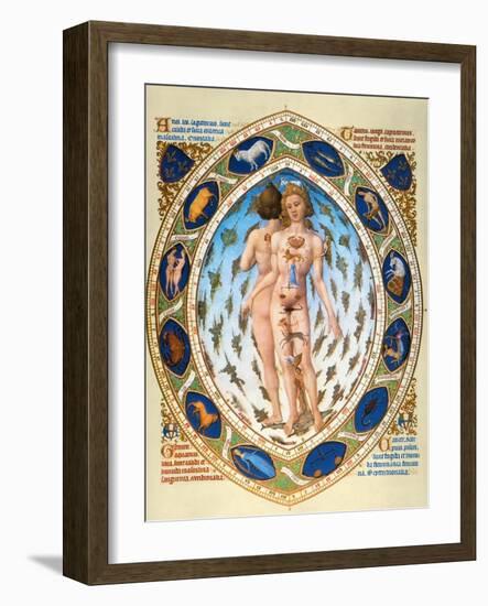 Anatomical Man-null-Framed Giclee Print