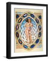 Anatomical Man-null-Framed Giclee Print