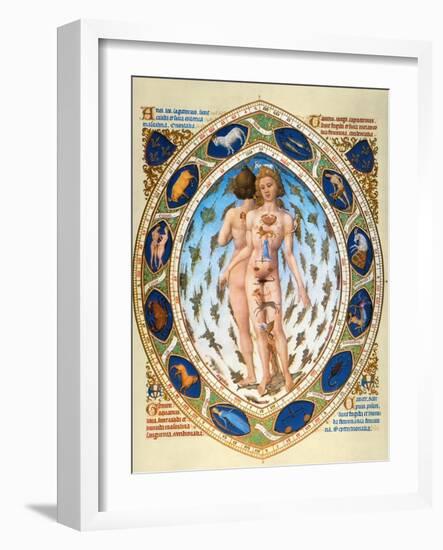 Anatomical Man-null-Framed Giclee Print