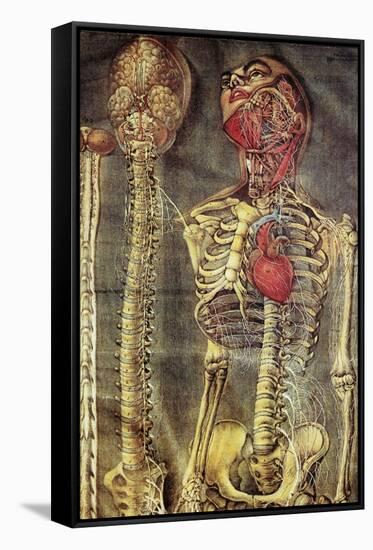 Anatomical Model, 18th Century-Science Photo Library-Framed Stretched Canvas