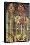 Anatomical Model, 18th Century-Science Photo Library-Framed Stretched Canvas