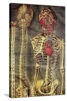 Anatomical Model, 18th Century-Science Photo Library-Stretched Canvas