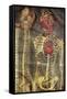 Anatomical Model, 18th Century-Science Photo Library-Framed Stretched Canvas