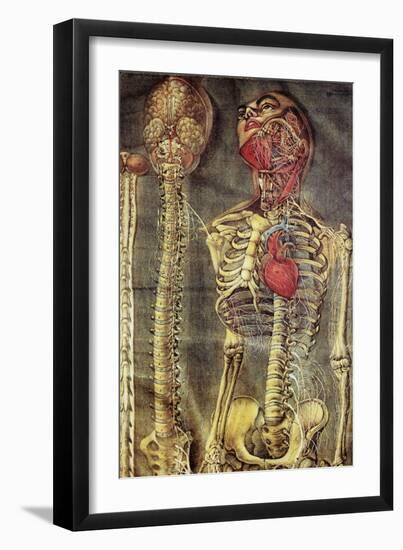 Anatomical Model, 18th Century-Science Photo Library-Framed Photographic Print