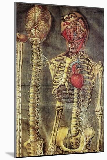 Anatomical Model, 18th Century-Science Photo Library-Mounted Photographic Print