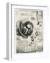 Anatomical Sketch of a Human Foetus in the Womb, C1510-Leonardo da Vinci-Framed Giclee Print