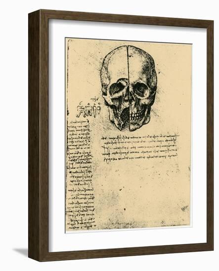 Anatomical Sketch of a Human Skull, C1472-1519-Leonardo da Vinci-Framed Giclee Print