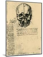 Anatomical Sketch of a Human Skull, C1472-1519-Leonardo da Vinci-Mounted Giclee Print